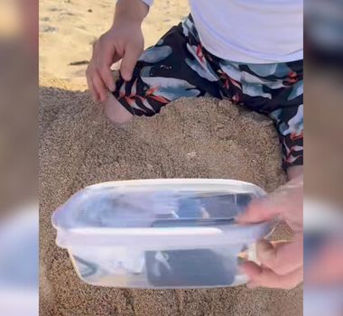 Imagem - Dica inusitada para evitar furtos na praia repercute na web