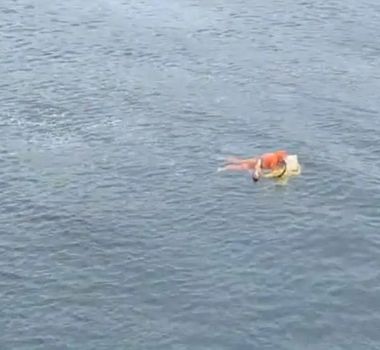 Imagem - Vídeo: homem sobrevive a naufrágio ao flutuar em porta de geladeira