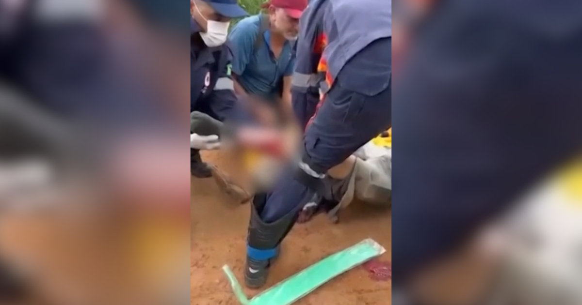 Acidente ocorreu entre Anapu e Pacajá; veículo levava sete pessoas e motorista fugiu do local