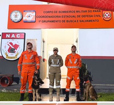 Imagem - Corpo de Bombeiros do Pará reforça buscas por crianças desaparecidas no Maranhão