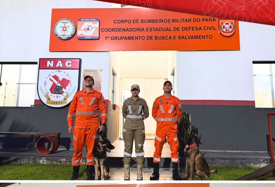 A operação ocorre de forma integrada com equipes do Maranhão e voluntários que já participavam das diligências