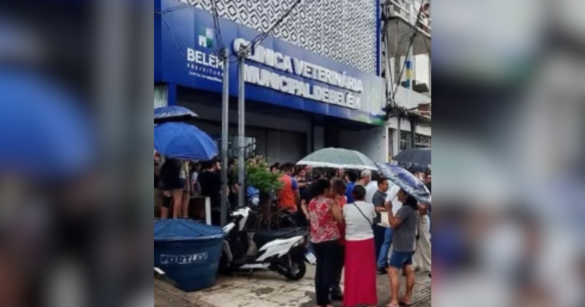 Unidade gratuita organiza atendimentos e amplia acesso à saúde animal na capital paraense