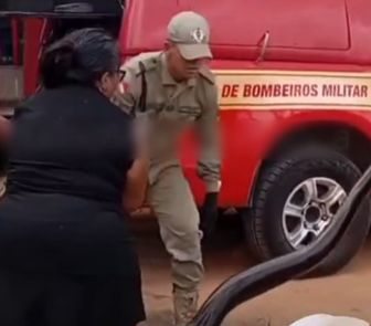 Imagem - Sucuri de grande porte é resgatada pelo Corpo de Bombeiros em rio de Capanema