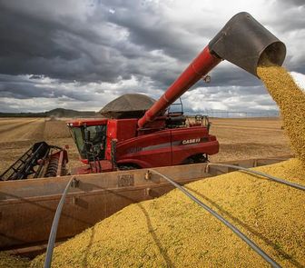 Imagem - Safra 2025/26 mantém perspectiva de novos recordes