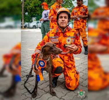 Imagem - Bacabal: cadela dos bombeiros morre durante buscas por crianças desaparecidas