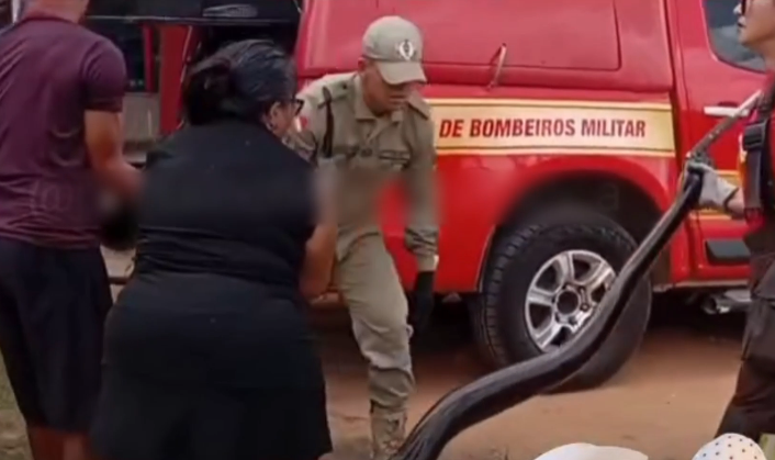 Imagem - Sucuri de grande porte é resgatada pelo Corpo de Bombeiros em rio de Capanema