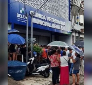 Imagem - Clínica Veterinária pública de Belém começa atendimentos com foco em cães e gatos