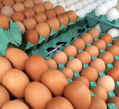 Imagem - Preço do ovo fecha 2025 em queda em Belém, aponta DIEESE