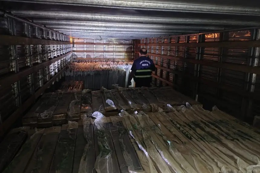 Imagem - Sefa apreende R$ 98 mil em mercadorias irregulares no Pará