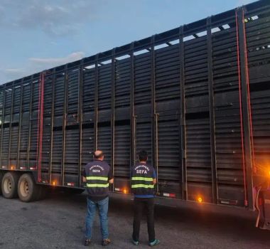 Imagem - Gado, cerveja e pneus: Sefa apreende mais de R$ 1,3 milhão em cargas em um dia