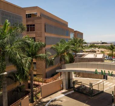 Imagem - Anvisa suspende suplementos alimentares de duas marcas