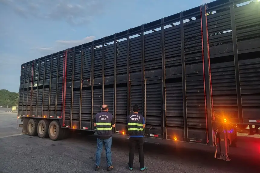 Ações de fiscalização no Nordeste e Oeste do Pará somam mais de R$ 414 mil em impostos e multas.