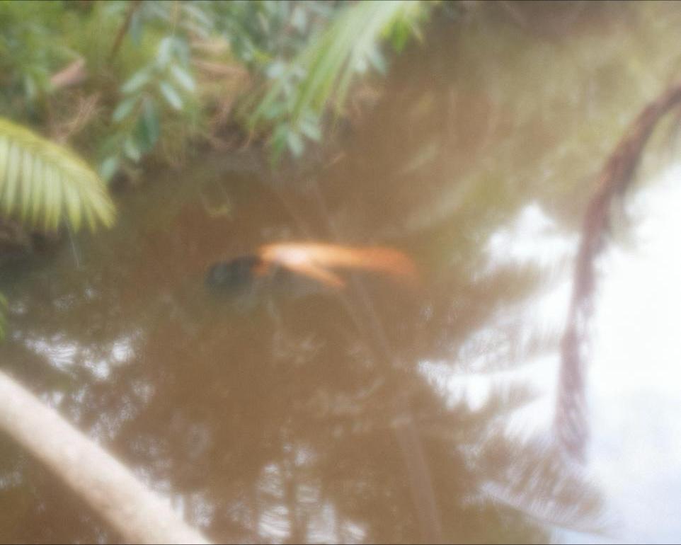 Imagem - Corpo de mulher é encontrado em córrego no centro de São Domingos do Araguaia