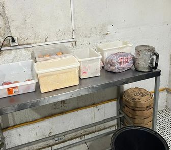 Imagem - Pizzaria faturava R$ 10 mil por dia com venda de comida estragada