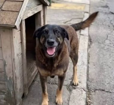 Imagem - Governador de Santa Catarina detalha medidas tomadas pela Polícia Civil