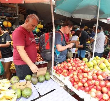 Imagem - Frutas regionais encerram 2025 com altas acima de 100% em Belém, aponta Dieese