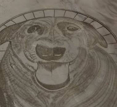 Imagem - Artista faz homenagem em praia que cão Orelha viveu por 10 anos