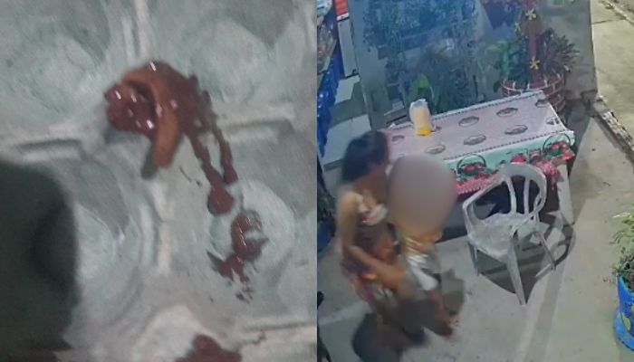 Criança passa mal após encontrar lesma em açaí consumido em Mosqueiro