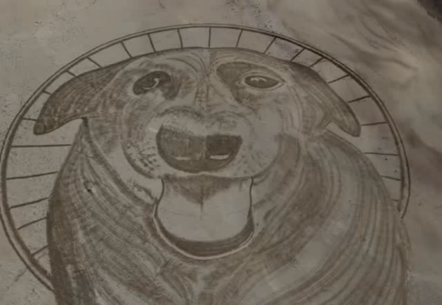 Imagem - Artista faz homenagem em praia que cão Orelha viveu por 10 anos