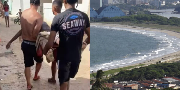 Imagem - Adolescente de 13 anos morre após ser mordido por tubarão em praia de Olinda, em Pernambuco