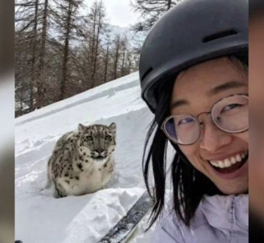Imagem - Selfie de turista antes de ser atacada por leopardo é divulgada