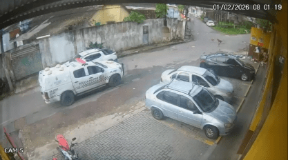 Imagem - PM afasta policiais após viatura atropelar dois cães em rua de Manaus