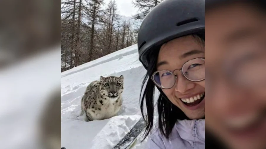 Imagem - Selfie de turista antes de ser atacada por leopardo é divulgada