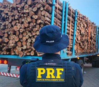 Imagem - PRF apreende mais de 300 m³ de madeira ilegal durante operação no sul do Pará