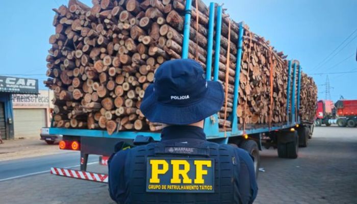 PRF apreende mais de 300 m³ de madeira ilegal durante operação no sul do Pará