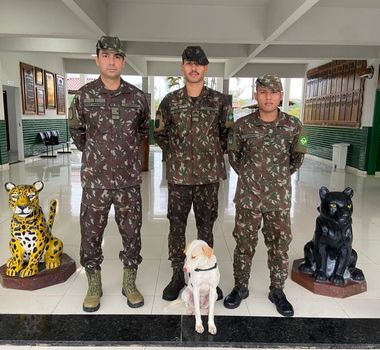Imagem - Após ataque de sucuri, cadela é adotada por militar que a salvou com técnicas de sobrevivência na selva