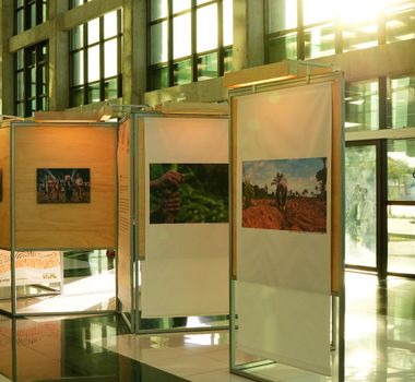 Imagem - Arte, ancestralidade e Amazônia: Belém recebe a Exposição dos Povos da Floresta