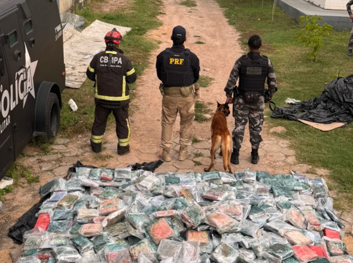 Imagem - PRF apreende mais de uma tonelada de drogas em caminhão no Pará