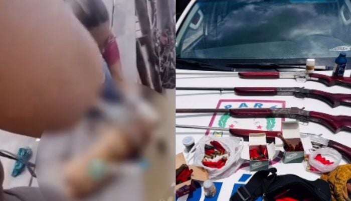 Imagem - Cachorro é morto a tiro na região do Rio Inamaru, em Muaná, no Marajó