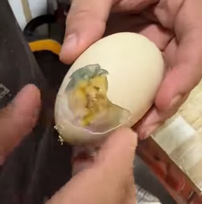 (O registro, postado nas redes sociais nesta semana, já acumula mais de 110 mil visualizações e curtidas, destacando a raridade do fenômeno.)