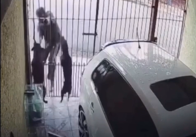 Vídeo: homem é atacado por cão ao tentar retirar objeto de garagem pelo portão