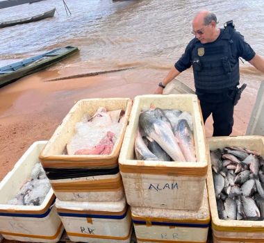 Imagem - Mais de meia tonelada de pescado é apreendido no Pará