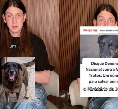 Imagem - Felca faz abaixo-assinado para propor disque-denúncia contra maus-tratos a animais