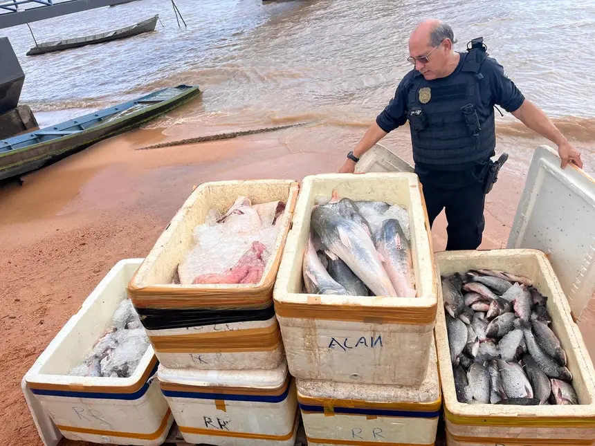 Mais de meia tonelada de pescado transportado de forma irregular foi apreendido no Pará.