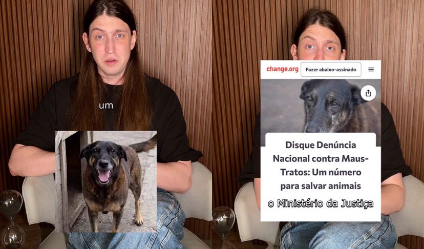 O influenciador Felca citou o caso da morte do cão Orelha, em Florianópolis (SC), e propôs um disque-denúncia para casos de maus-tratos