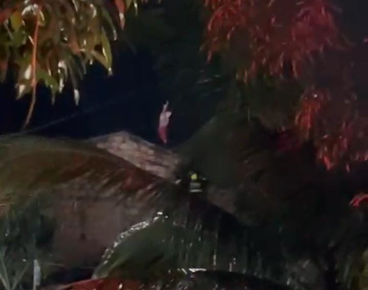 Ocorrência mobilizou policiais e bombeiros -