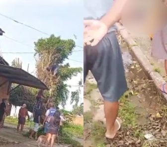 Imagem - Homem morre eletrocutado durante poda de árvore no Bairro Tenoné, em Belém