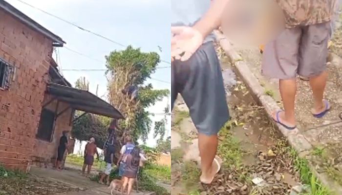 Homem morre eletrocutado durante poda de árvore no Bairro Tenoné, em Belém