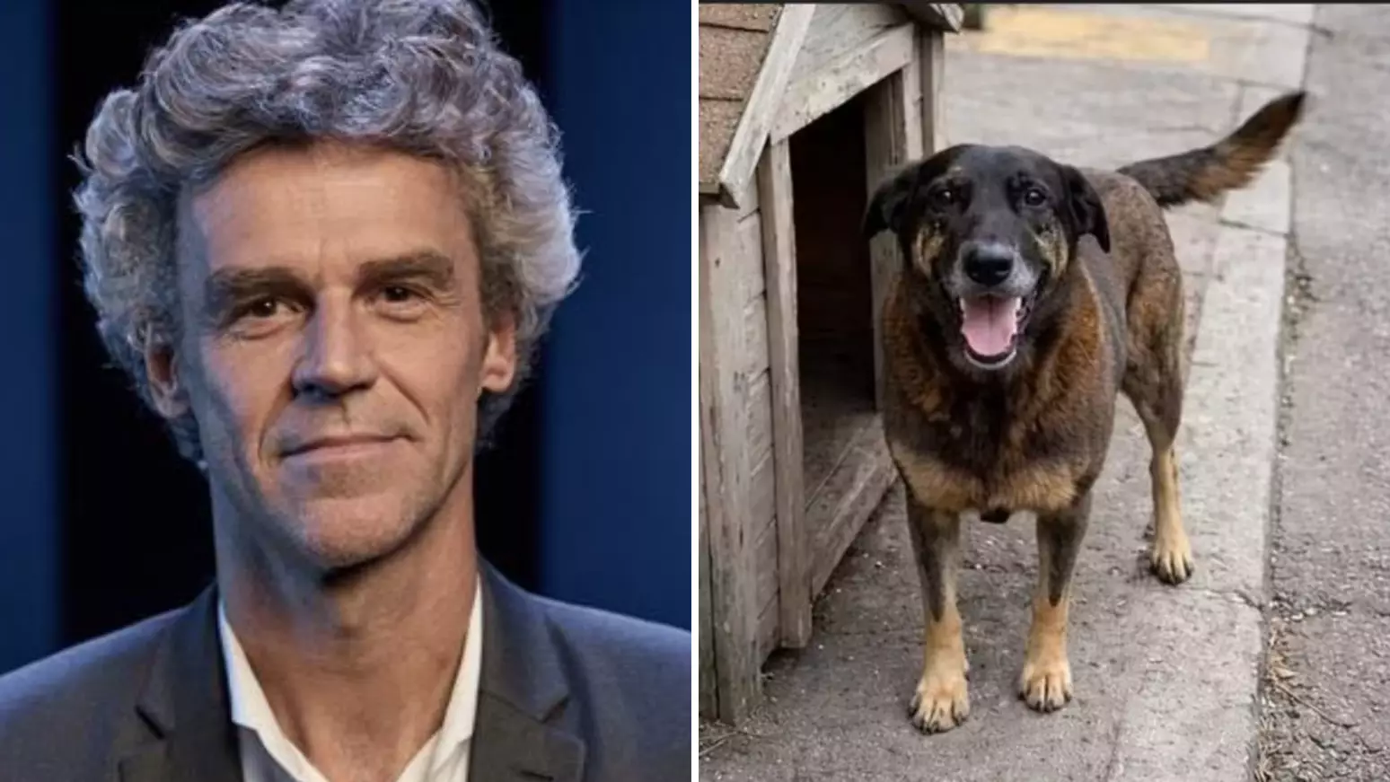 Imagem - Sobrinho de Guga, ex-tenista, está entre os citados no caso do cão orelha e presta depoimento