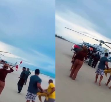 Imagem - Tartaruga marinha é resgatada na Praia do Farol, em Salinópolis