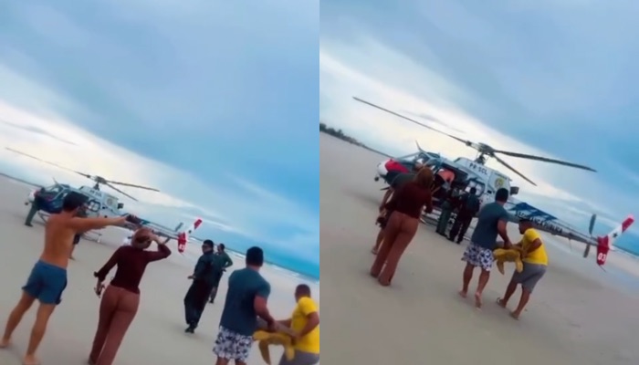 (Tartaruga marinha é resgatada na Praia do Farol, em Salinópolis)