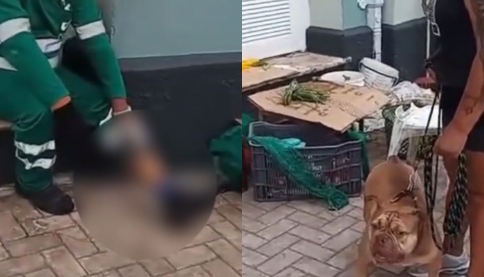 (Funcionário de limpeza urbana é atacado por cachorro no Ver-o-Peso, em Belém)