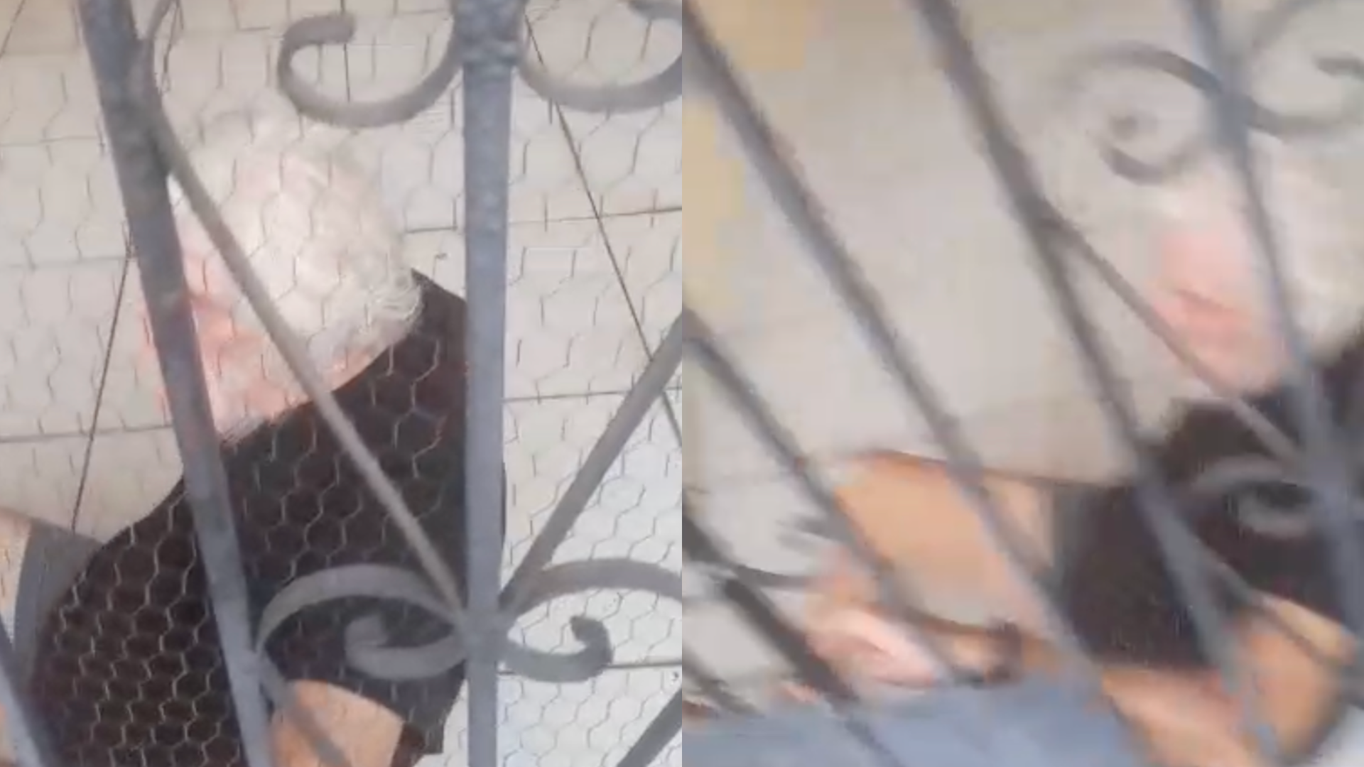 Imagem - Idoso é resgatado após denúncia de abandono e suposto cárcere em Belém