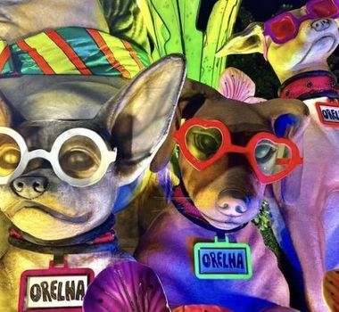 Imagem - Mocidade presta homenagem ao cão Orelha na Sapucaí