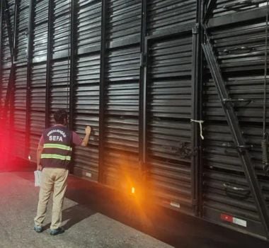 Imagem - Sefa apreende 120 cabeças de gado por suspeita de subfaturamento no Pará