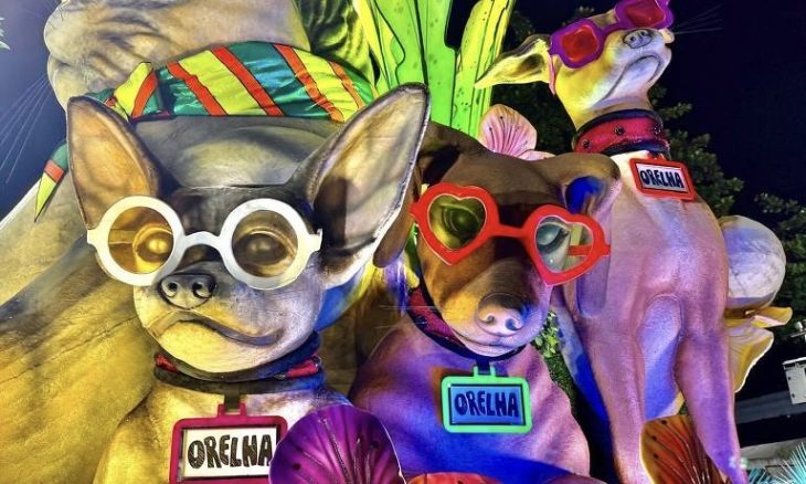 Homenagem ao cão Orelha na Marquês de Sapucaí -